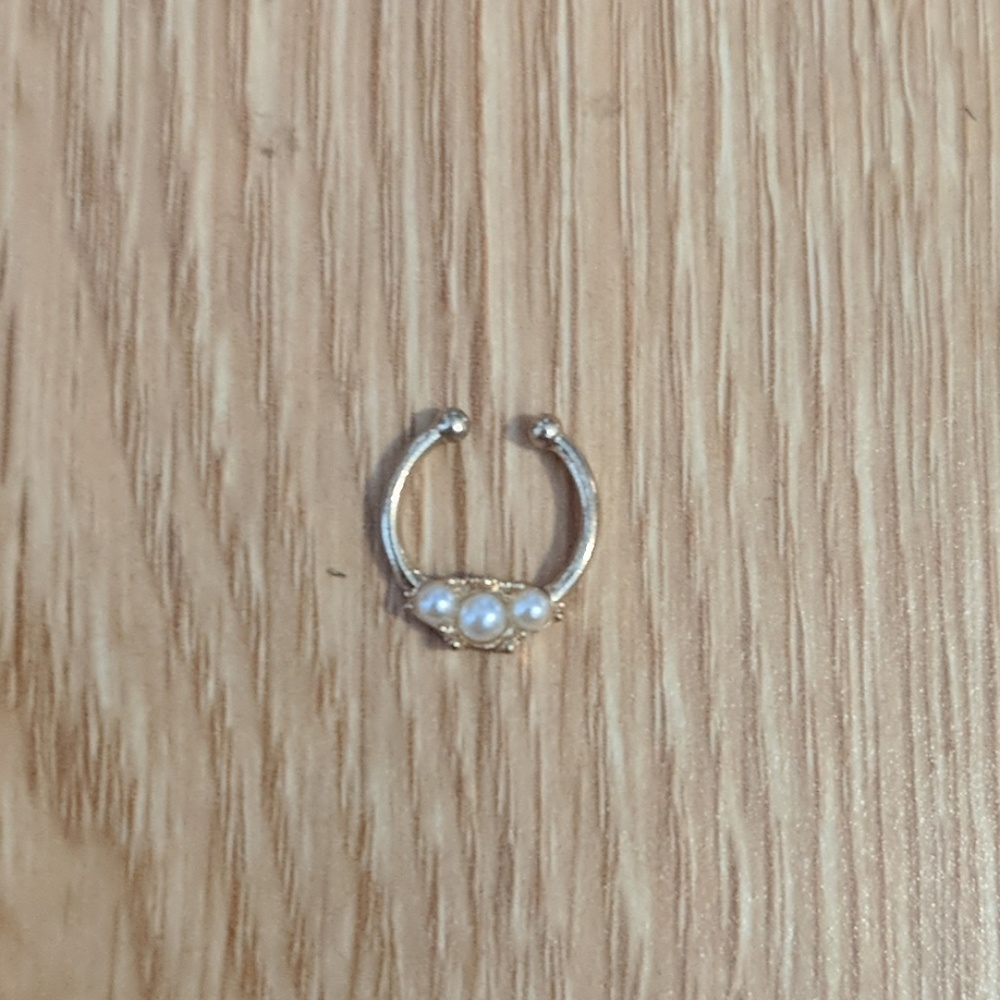 Faux septum